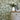 Olivia Vintage Floral Wallpaper Sage

