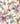 Painted Petals Multi Wallpaper