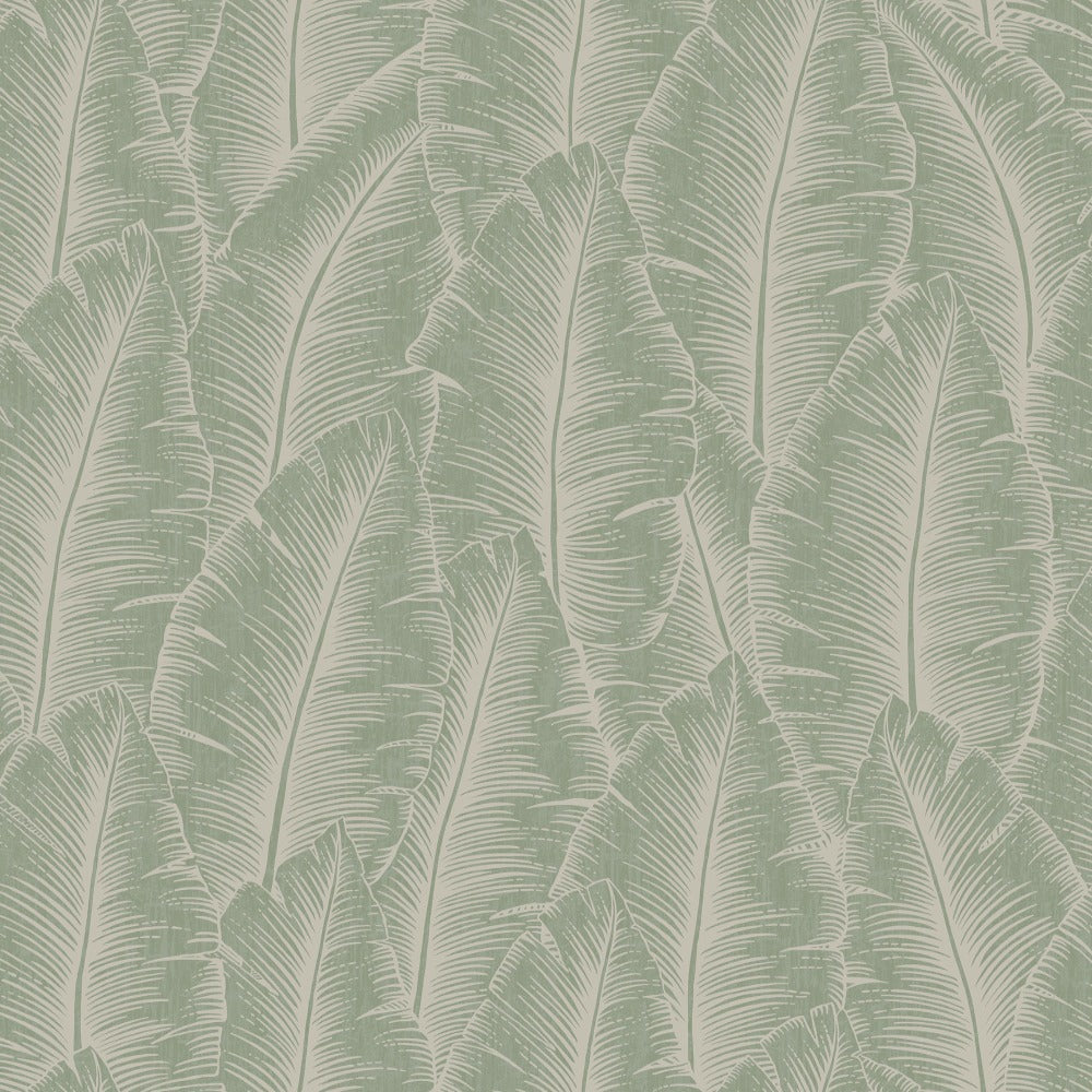 Palmeira Palm Green Wallpaper | Grandeco Wallcoverings | A68503