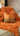 Paul Moneypenny Buckleup Orange