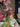 Paul Moneypenny Wallpaper Collection Floral Hall Green
