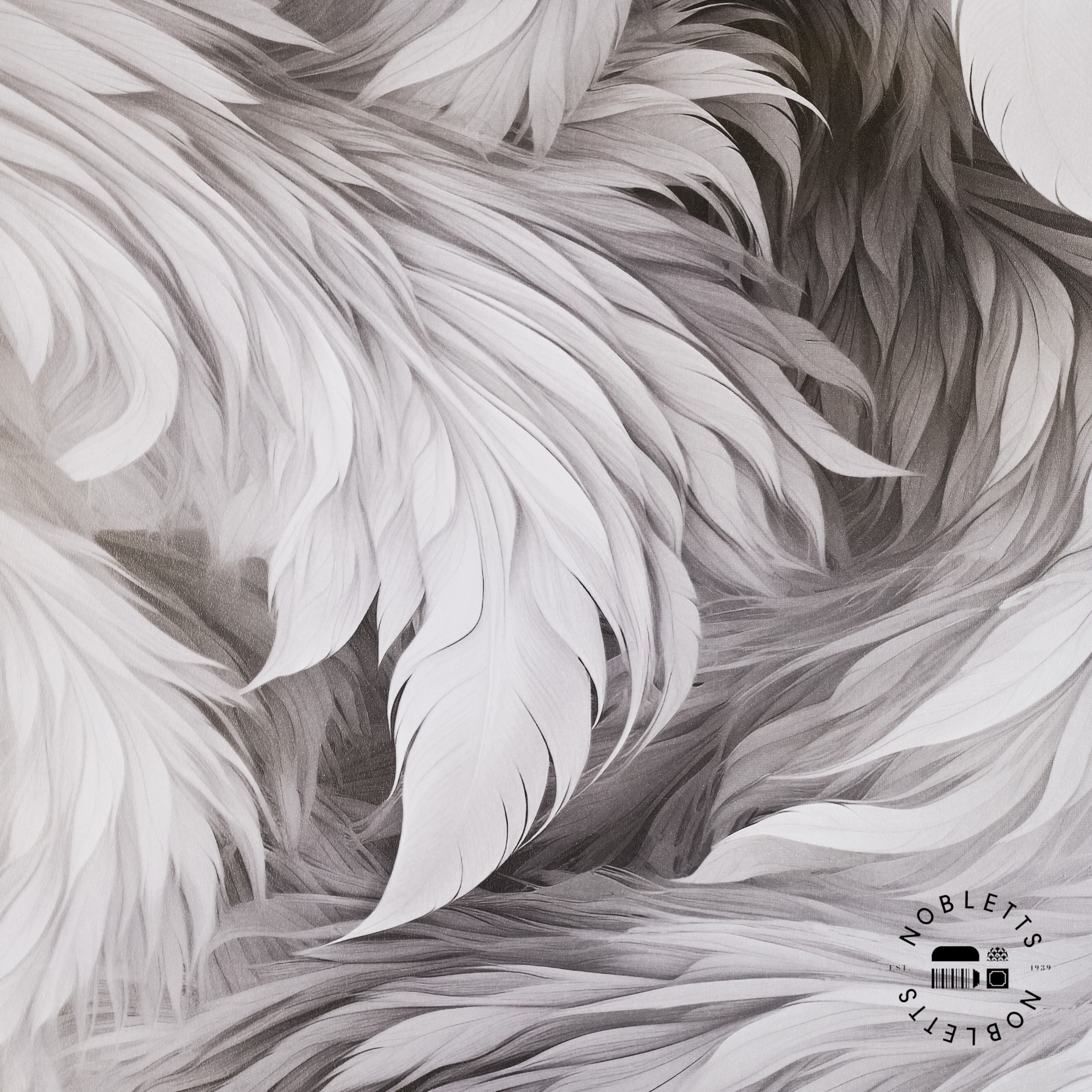 Plumes Black Wallpaper Close-up