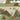 Prehistoric Green/Orange Wallpaper
