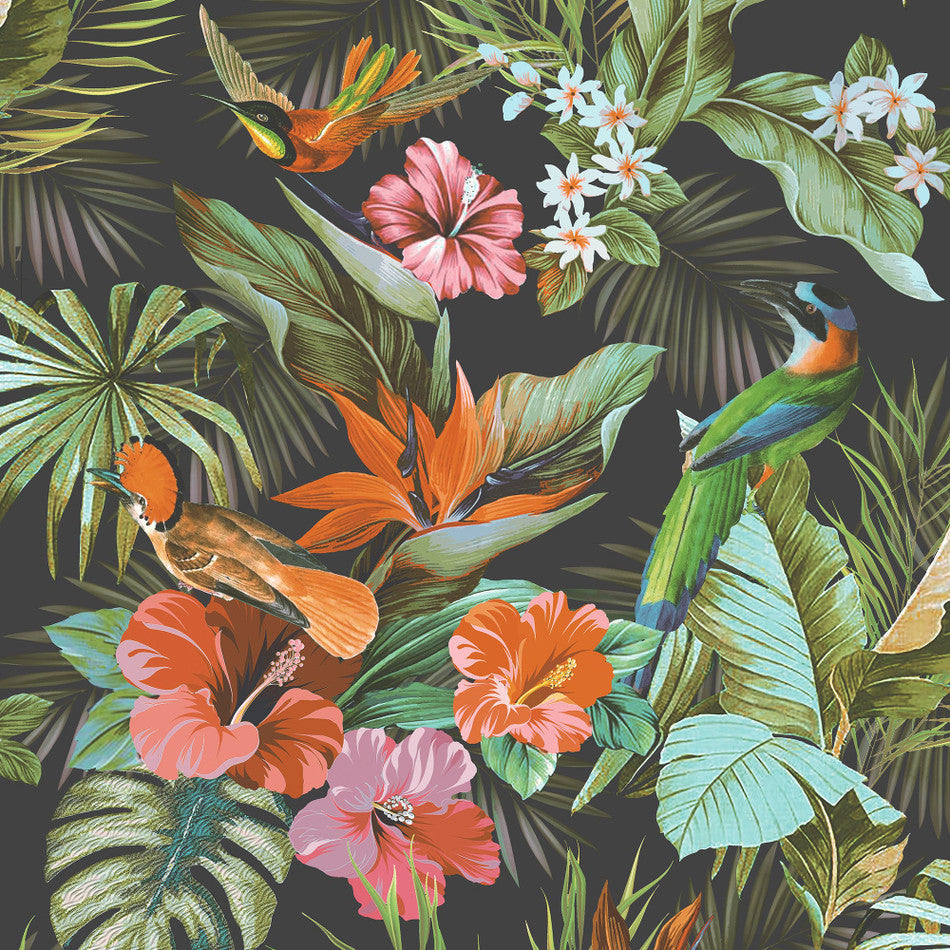 Paradise Birds Black Multi Wallpaper | Tropical Pattern | 539059