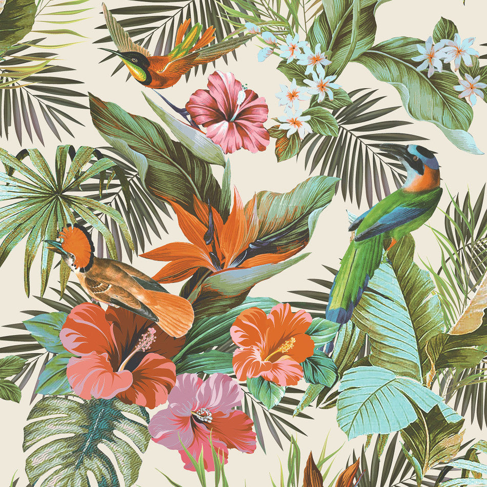 Paradise Birds Multi Wallpaper | Tropical Wallpaper | 539066