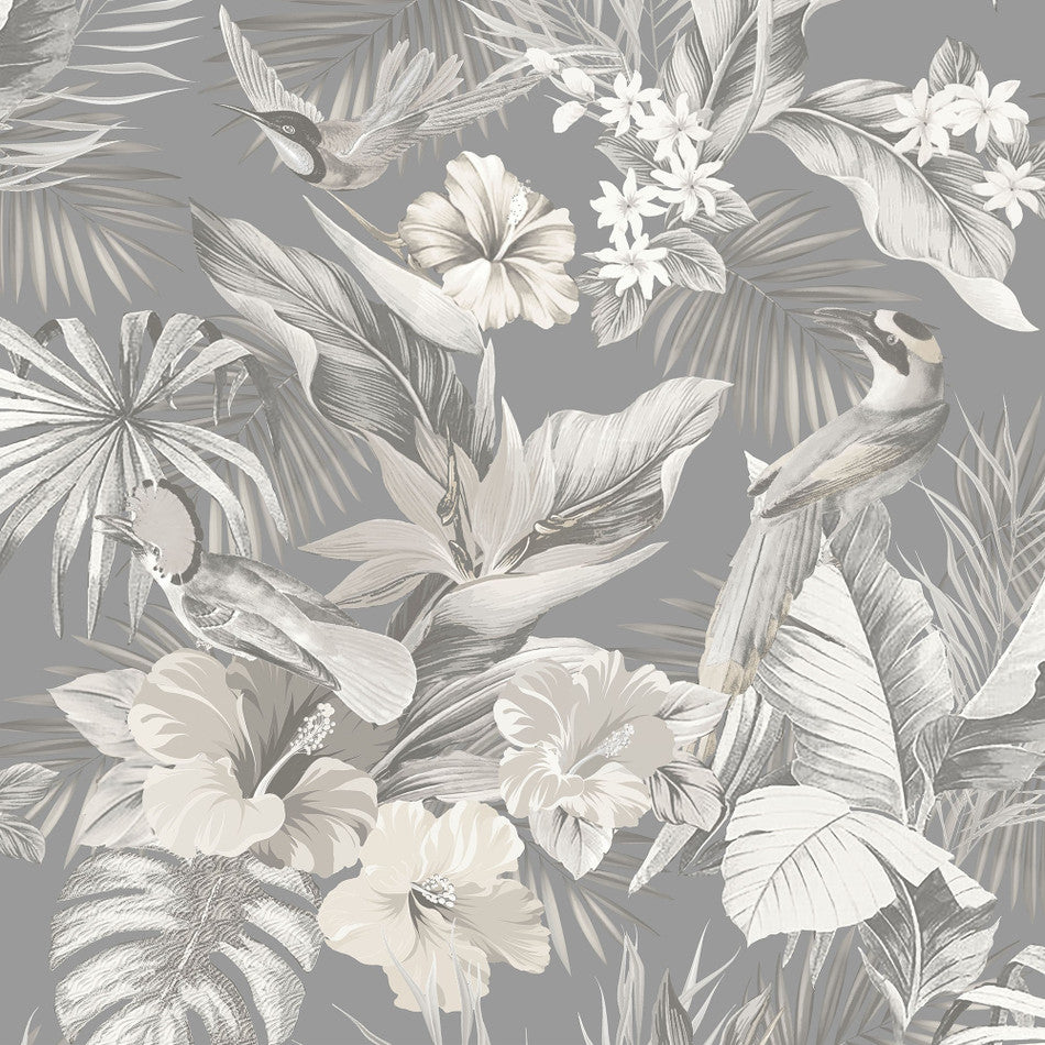 Paradise Birds Grey Wallpaper | Tropical Design Wallpaper | 539073