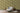 Schoner Wohnen Botanical Green Wallpaper