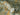 Schoner Wohnen Tropical Green Wallpaper
