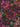 The Trend Spectrum - 'Dede's Garden' Floral Multi Wallpaper