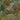 Tree Tapestry Green Wallpaper