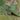 Tree Tapestry Green Wallpaper