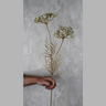 Yarrow Blanco Silk Flower