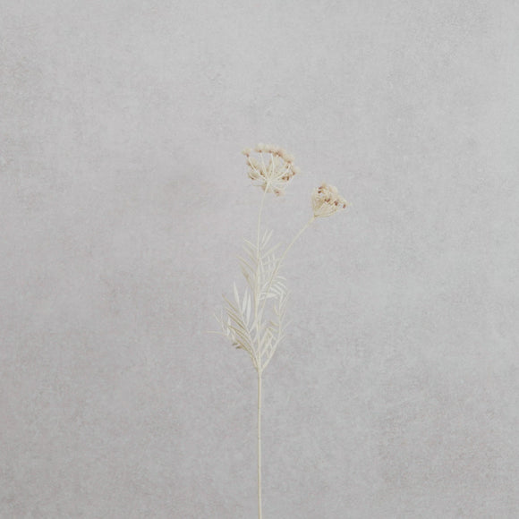 Queen Anne's Lace Bleached Silk Flower