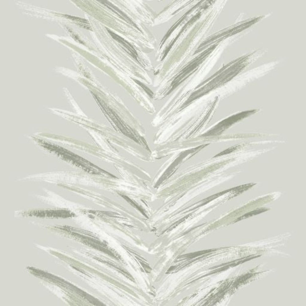 Dhara Olive Roll Shot