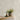 Grace Allium Stone Wallpaper - Fine Decor Wallcoverings - FD43281