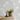 Grace Allium Grey/Silver Wallpaper - Fine Decor Wallcoverings- FD43284