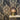 The Design Library - Vasari Damask Black/Gold Wallpaper | 534382