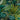 Wanderlust Tropical Green | Grandeco Wallpaper | WL2001